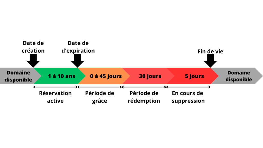 Schéma du cycle de vie d'un nom de domaine