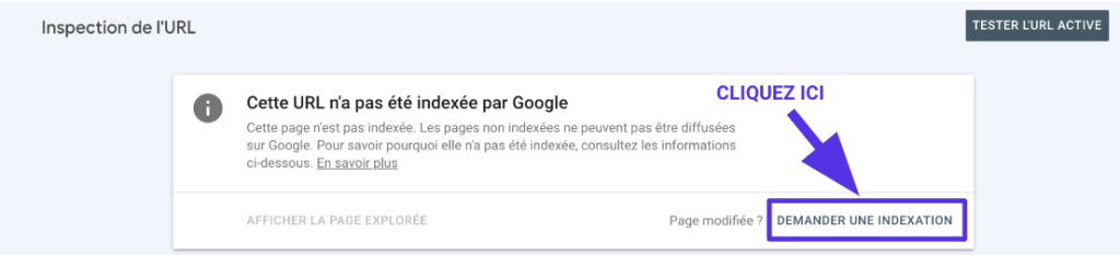 Demande d'indexation de la part de la Google Search Console