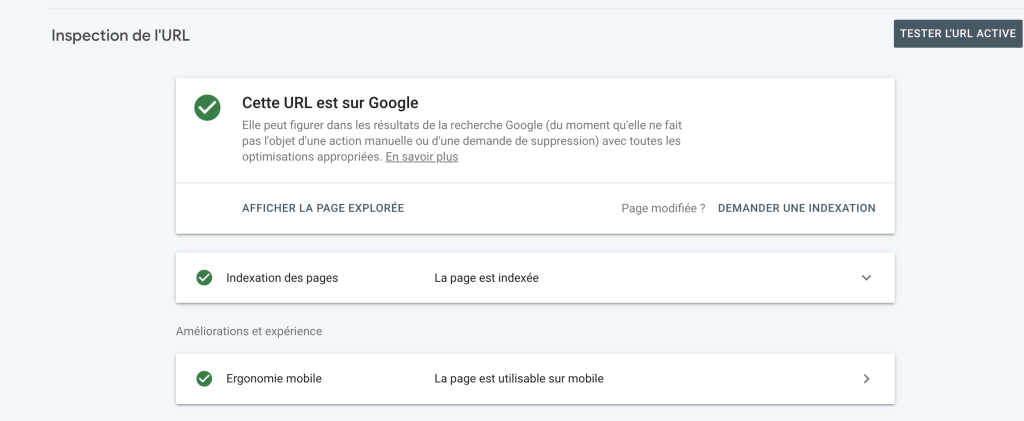 URL INDEXÉ PAR GOOGLE