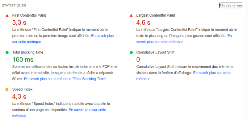 Exemple de résultat PageSpeed