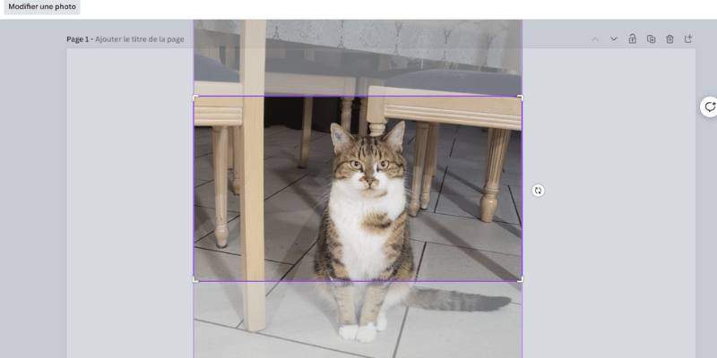 Utiliser un logiciel de retouche d'image