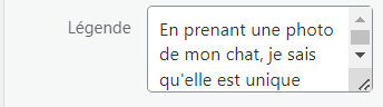 Exemple d'une légende d'image