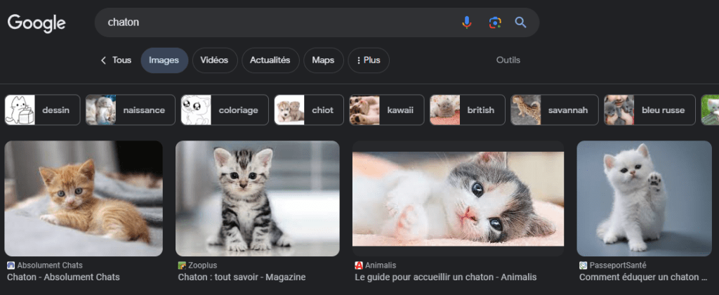 Résultats de recherche de Google image
