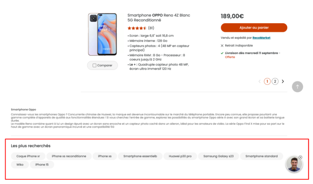 exemple maillage filtre a facette seo