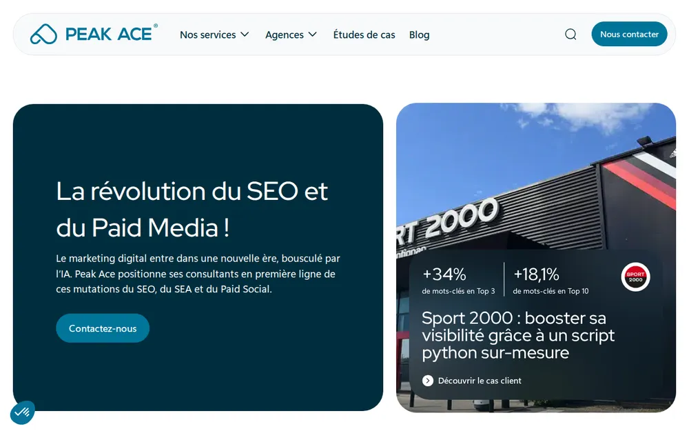 Page d'accueil de Search Foresight