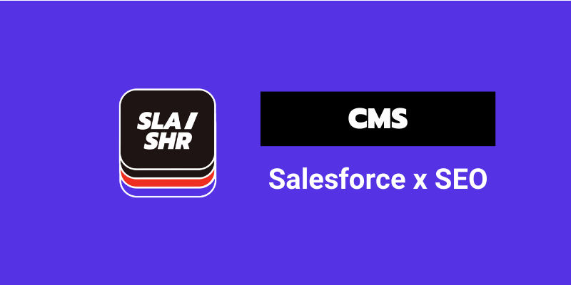 optimisation seo cms salesforce